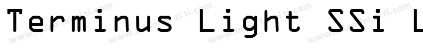 Terminus Light SSi Light Italic字体转换